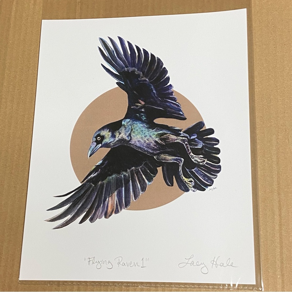 “Flying Raven 1” - 8x10 Crow Print - White Background - Picture 2 of 5